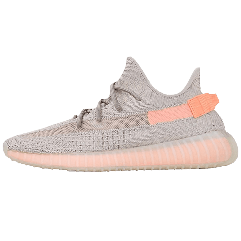 adidas Yeezy Boost 350 V2 True Form