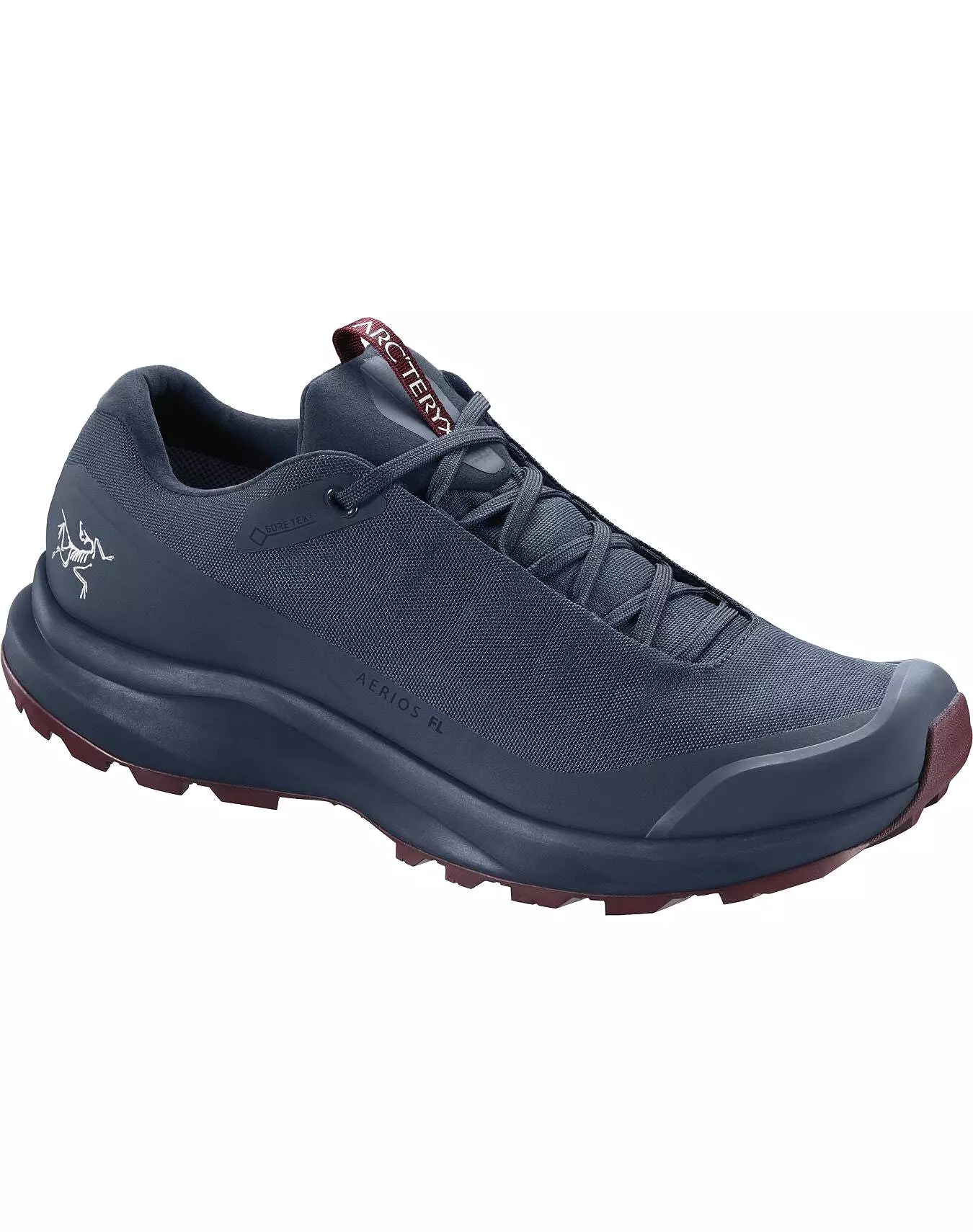 Aerios FL GTX Hiking Shoe - Women's