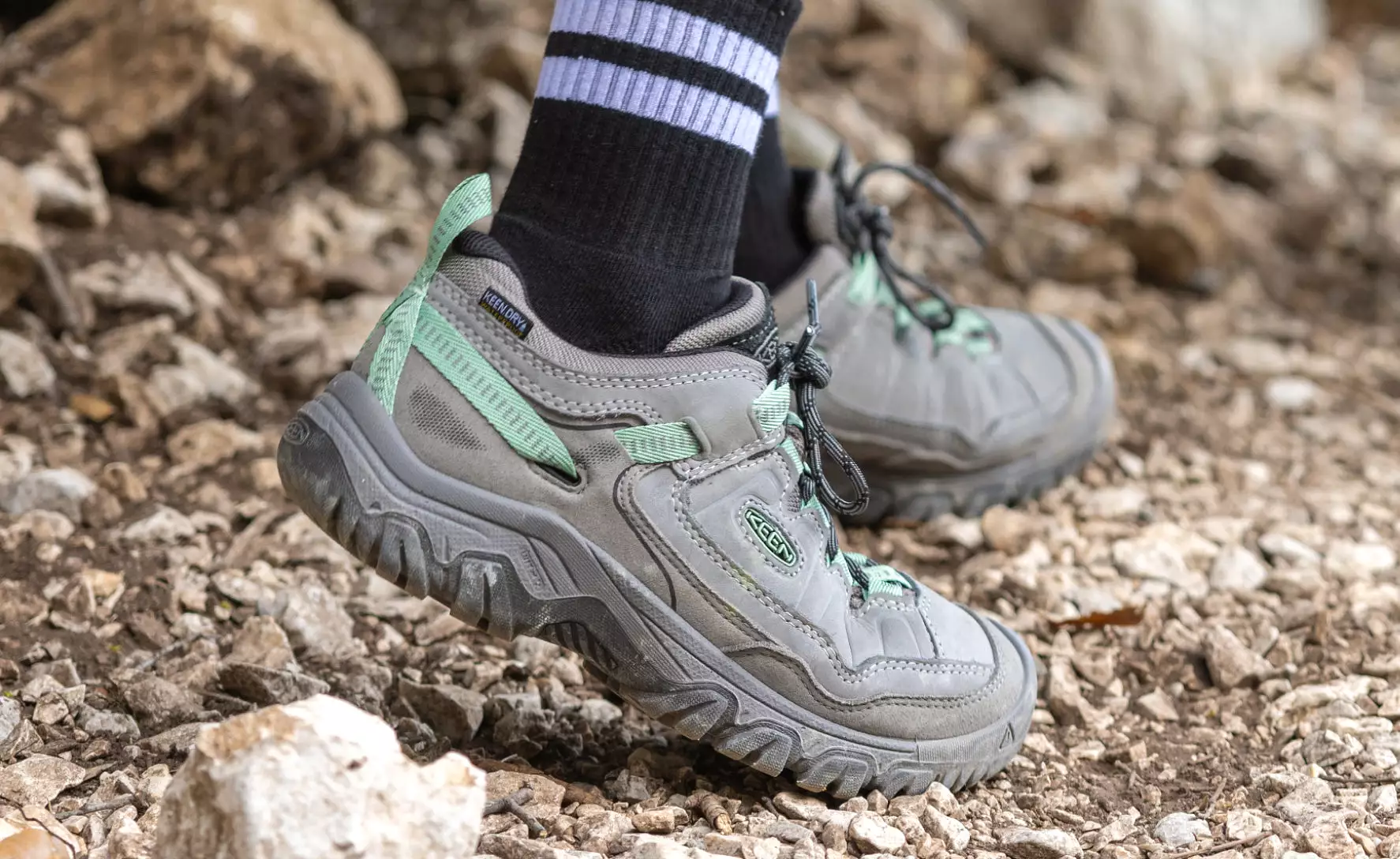 Women's Targhee IV Waterproof Hiking Shoe  |  Alloy/Granite Green